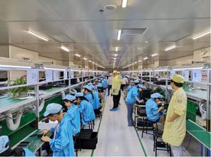 蘇寧拼購拼拼工廠再升級(jí) 老人機(jī)企業(yè)擁抱互聯(lián)網(wǎng)銷售，迎來增長(zhǎng)新動(dòng)力
